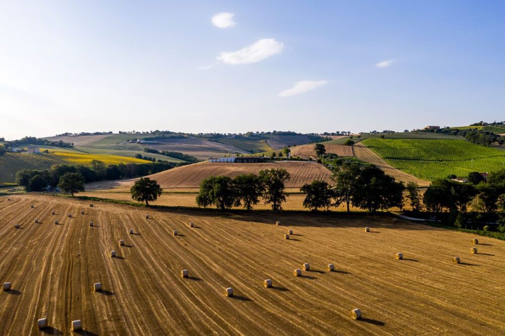 Pasta fra Italien