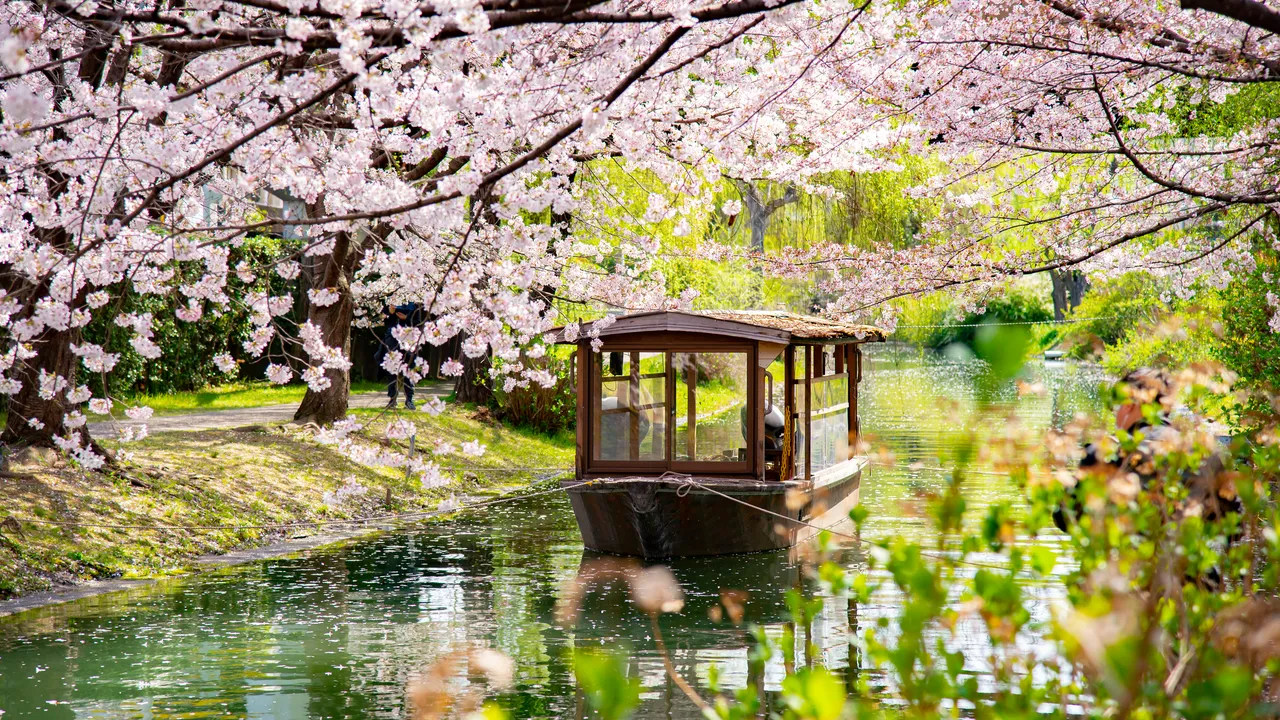 Skønheden i Japan