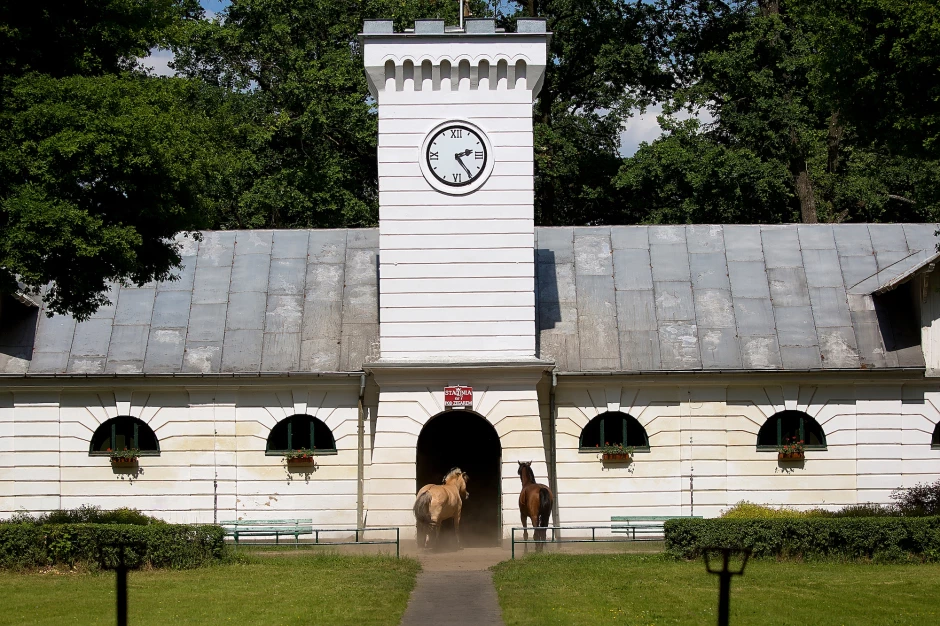 Arabiske hestestutterier i Polen