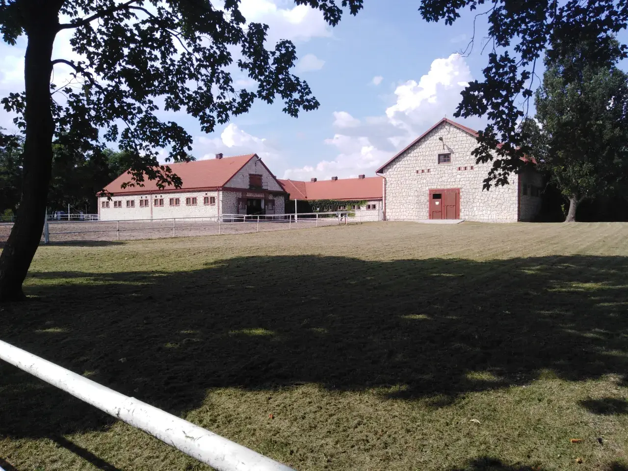 Arabiske heste i Polen