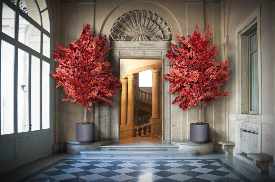 Hvad Går Stabilisering af Planter Ud På