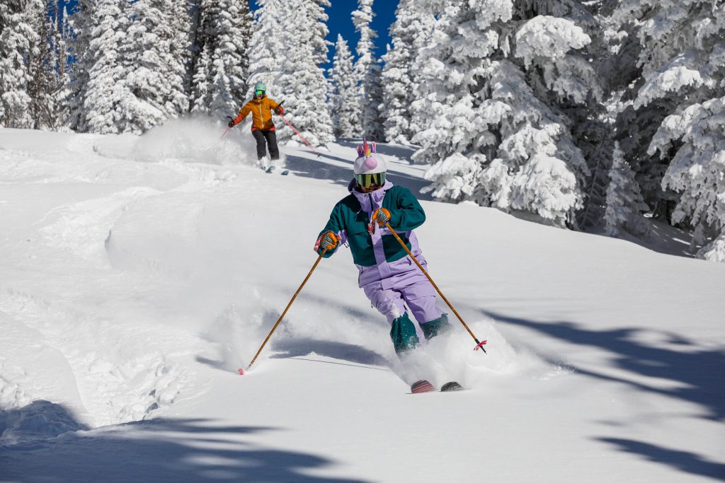 Hvad koster premium-ski