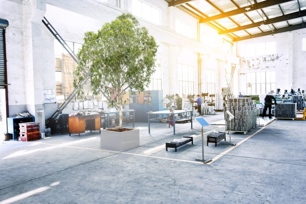 Sådan stabiliserer du planter