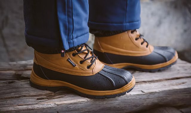 Vertigo Alpes – hvad er det for en virksomhed?