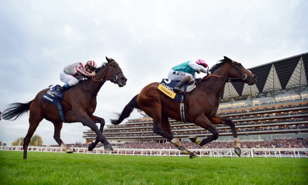 Frankel vinder over Cirrus Des Aigles 20 10 12 Foto Bill Selwyn