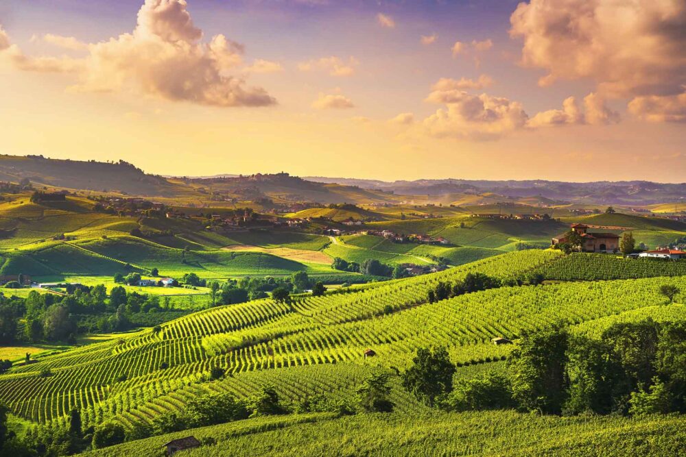Langhe Vinmarker Solnedgangspanorama, Barolo, Piemonte, Italien Europa
